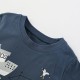 New cross-border short-sleeved two-piece suits for boys, including European and American style summer tops and shorts, casual suits, and stylish T-shirts for children.