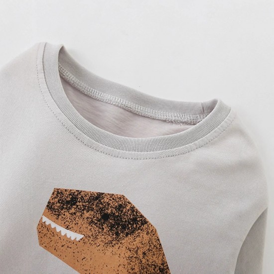 Boys' autumn and winter styles, European and American children's round-neck T-shirts, new models. Casual long-sleeved autumn base shirt