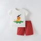 Cross-border children's clothing, new European and American summer suits for boys. Children's printed short-sleeved cotton shorts and children's T-shirts